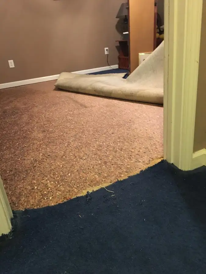 Carpet pad removal revealing water damage during Drying & Dehumidification in Wesley Chapel