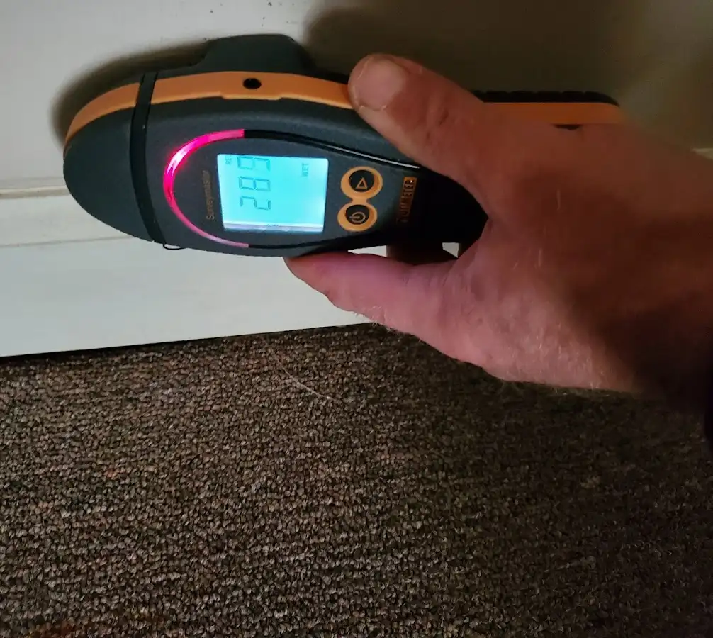 Moisture detection at baseboard during Sewage Cleanup & Sanitation in Wesley Chapel
