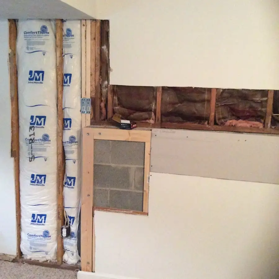 Wall insulation replacement during Odor Removal & Deodorization in Wesley Chapel